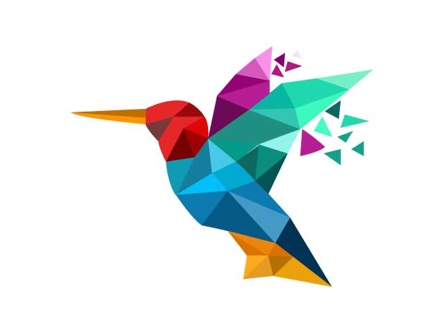 Creative Colorful Bird Logo Design Free Download