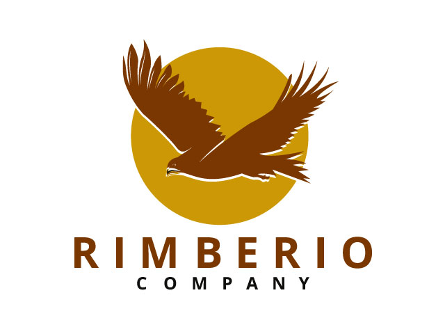 Eagle Business Company Logo design